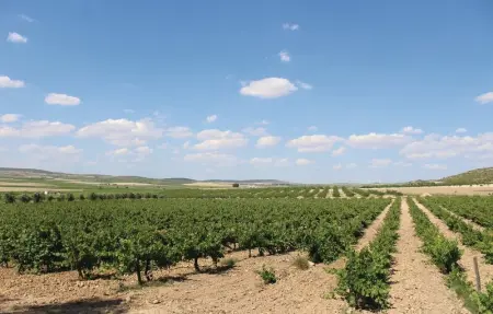 Location Maison 9 personnes à Albacete - Photo 7