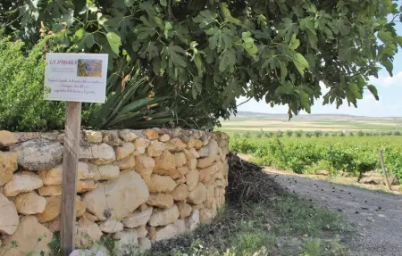 Location Maison 9 personnes à Albacete - Photo 13