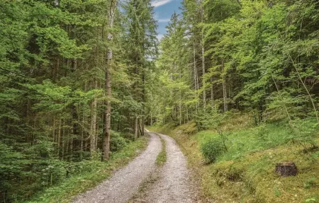 Casa Ferigo A, Appartement 6 personnes à Lauco - Photo 18