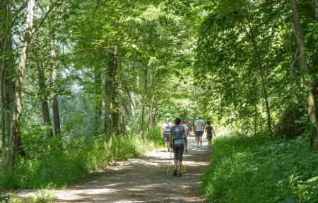 Casa Giglio Dorato, Maison 8 personnes à Sovramonte - Photo 5