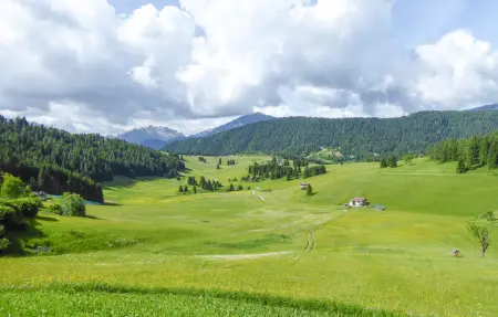 Casa Giglio Dorato, Maison 8 personnes à Sovramonte - Photo 20