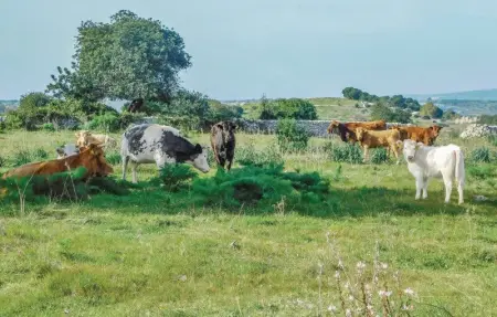 Location Maison 14 personnes à Chiaramonte Gulfi - Photo 20