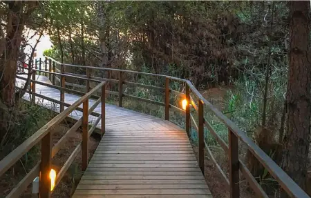 Location Appartement 5 personnes à Puntone - Photo 28