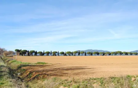 Location Appartement 5 personnes à Puntone - Photo 30