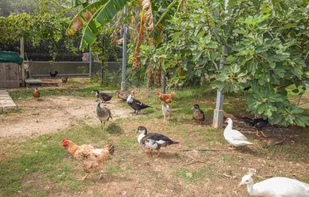 Villa Sebastian, Appartement 10 personnes à Santa Croce Camerina - Photo 24