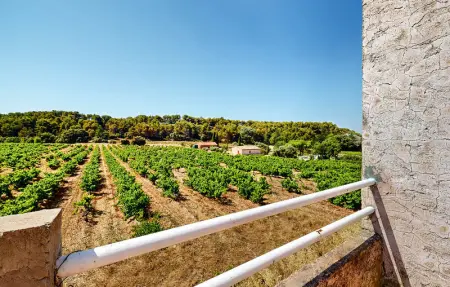 Location Maison 6 personnes à Bédoin - Photo 10