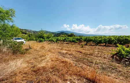 Location Maison 6 personnes à Bédoin - Photo 11