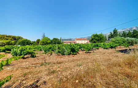 Location Maison 6 personnes à Bédoin - Photo 12