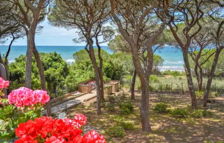 Location Appartement 5 personnes à Puntone - Photo 19