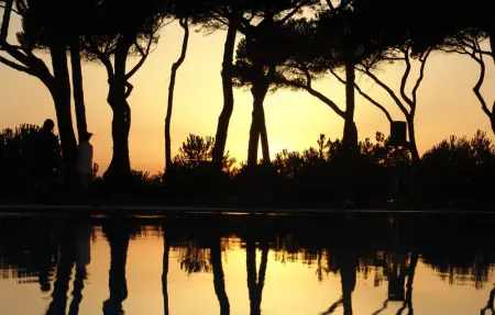 Location Appartement 5 personnes à Puntone - Photo 32