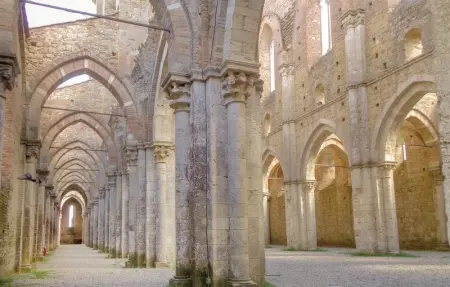 Tulipano, Appartement 4 personnes à Casole d'Elsa SI - Photo 18