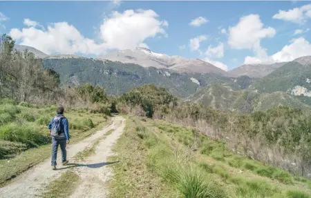Location Maison 15 personnes à Tortora Praia a Mare - Photo 30