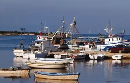 Location Maison 12 personnes à Liznjan - Photo 50