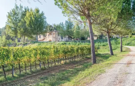 Il Vigneto, Maison 8 personnes à Torgiano PG - Photo 24