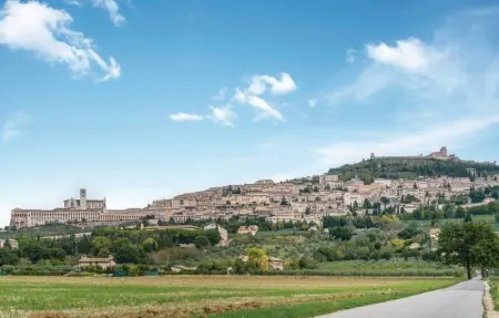 Il Vigneto, Maison 8 personnes à Torgiano PG - Photo 26