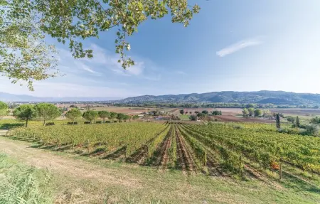 Il Vigneto, Maison 8 personnes à Torgiano PG - Photo 27