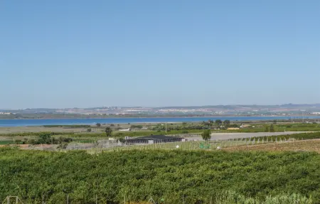 Location Appartement 3 personnes à Guardamar del Segura - Photo 18