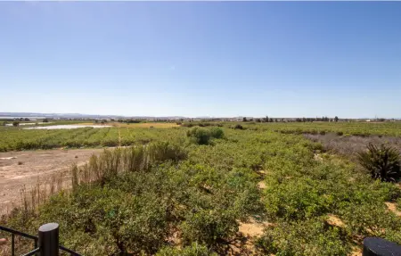 Location Appartement 3 personnes à Guardamar del Segura - Photo 19