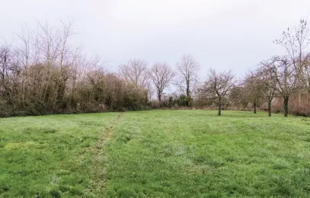 Location Maison 4 personnes à Brucheville - Photo 9