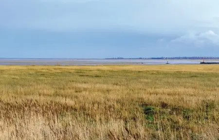 Location Maison 4 personnes à Brucheville - Photo 22