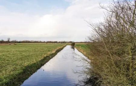 Location Maison 4 personnes à Brucheville - Photo 23