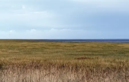 Location Maison 4 personnes à Brucheville - Photo 24