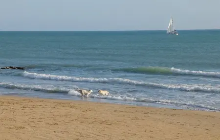 Location Maison 6 personnes à Ragusa RG - Photo 19