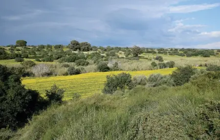 Location Maison 6 personnes à Ragusa RG - Photo 21