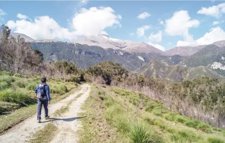 Villa Francesca, Maison 8 personnes à Praia a Mare - Photo 25