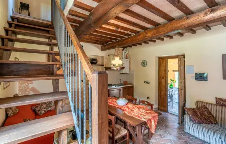 Fico, Oliva, Mora, Maison 29 personnes à Città´di Castello  PG - Photo 27