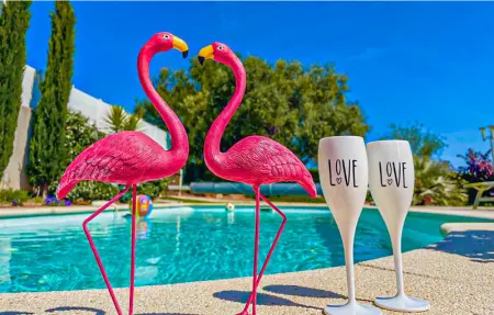 Location Maison 9 personnes à Creissan - Photo 7