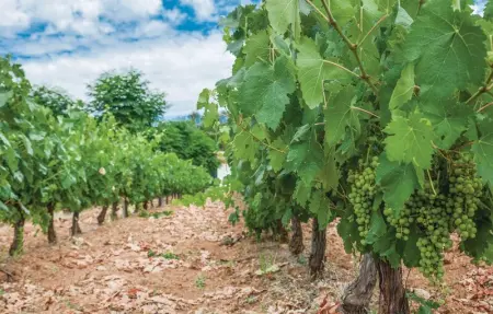 Location Maison 6 personnes à Constantina, Sevilla - Photo 2