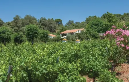 Location Maison 6 personnes à Constantina, Sevilla - Photo 28