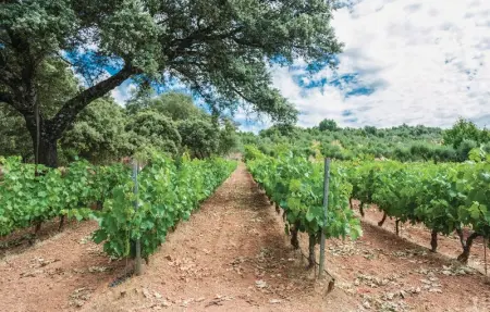 Location Maison 6 personnes à Constantina, Sevilla - Photo 29