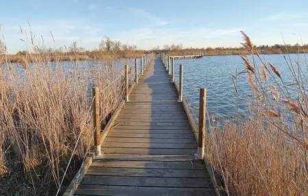 Location Maison 10 personnes à Nîmes - Photo 41