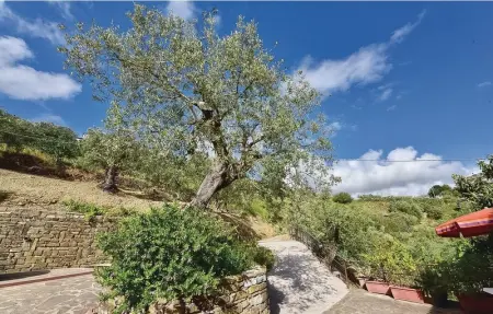 Casa Maria, Appartement 4 personnes à Castellabate SA - Photo 8