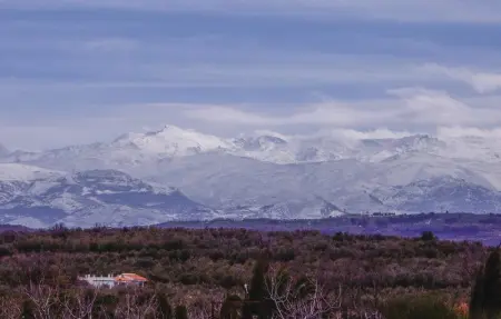 Location Appartement 8 personnes à Motril - Photo 28