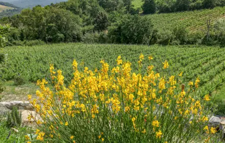 La Siroque, Maison 10 personnes à Montecatini Val di C. - Photo 24