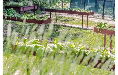La Siroque, Maison 10 personnes à Montecatini Val di C. - Photo 57