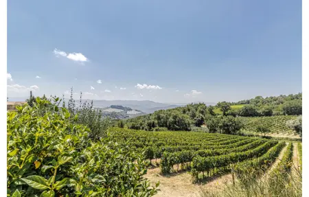 La Siroque, Maison 10 personnes à Montecatini Val di C. - Photo 64