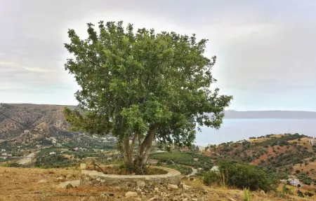 Location Maison 10 personnes à Plativola Ag.G.Rethym - Photo 9