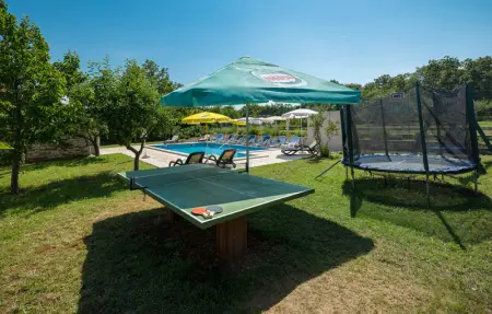 Location Maison 15 personnes à Buje - Photo 4