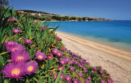 Location Appartement 4 personnes à Pag - Photo 37