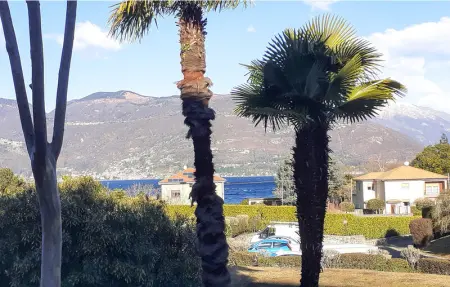 Lagobello, Appartement 4 personnes à Germignaga - Photo 12