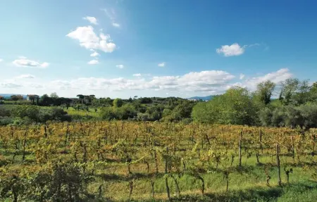 Villa Doveri Ceppeto, Maison 12 personnes à Forcoli (PI) - Photo 11