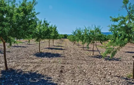 Location Maison 8 personnes à Santa Maria - Photo 21