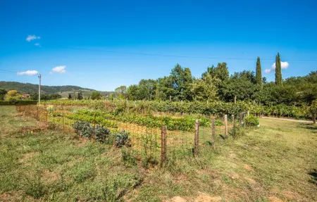 Location Appartement 2 personnes à Pietraviva AR - Photo 13