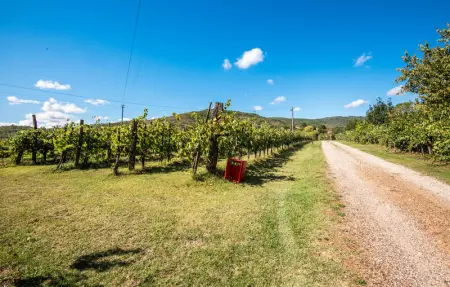 Location Appartement 2 personnes à Pietraviva AR - Photo 14