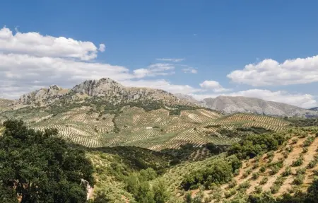 Location Maison 20 personnes à Rute - Photo 24