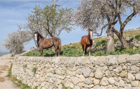Oriental Muti, Maison 19 personnes à Chiaramonte Gulfi - Photo 43